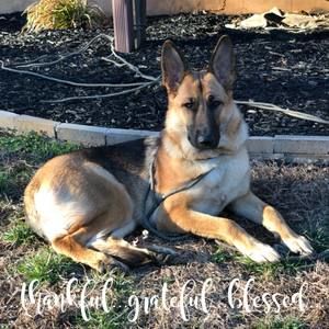 Meet your Posher, Christie